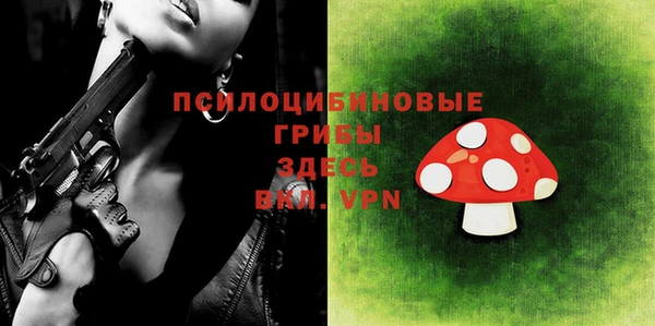 МДПВ Аркадак