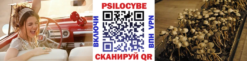 Псилоцибиновые грибы Psilocybe  Купить где  Себеж 